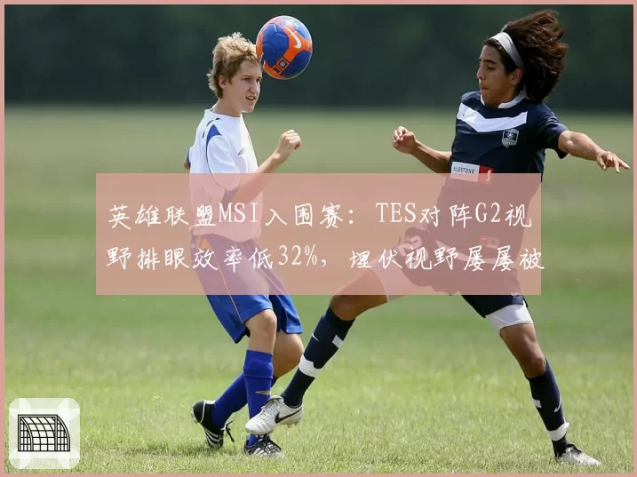 英雄联盟MSI入围赛:TES对阵G2视野排眼效率低32%,埋伏视野屡屡被破