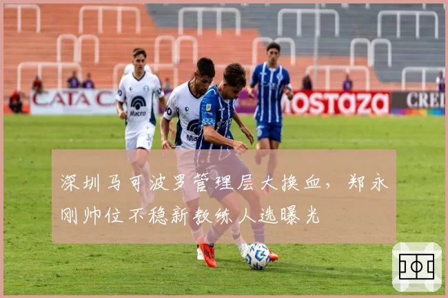 深圳马可波罗管理层大换血，郑永刚帅位不稳新教练人选曝光