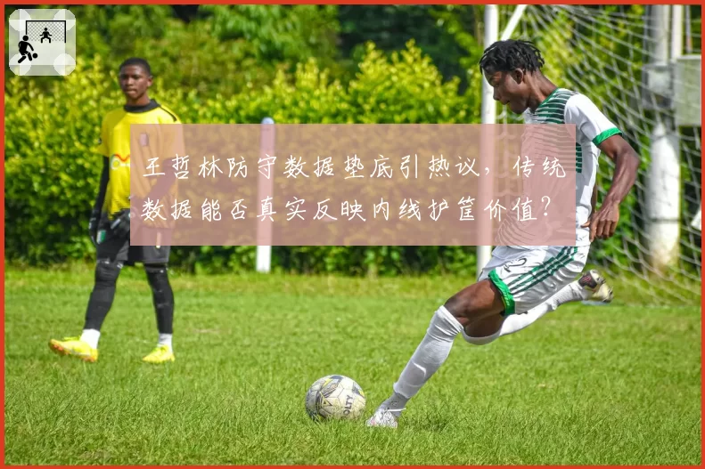 王哲林防守数据垫底引热议，传统数据能否真实反映内线护筐价值？