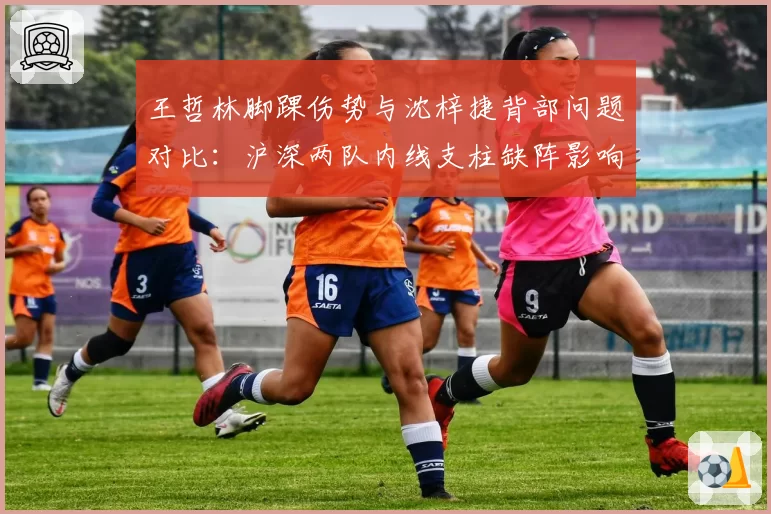 王哲林脚踝伤势与沈梓捷背部问题对比：沪深两队内线支柱缺阵影响评估